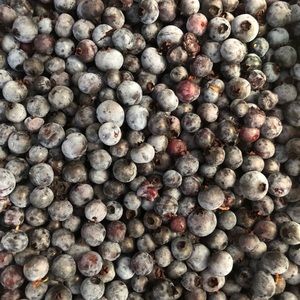 Meet your Posher, Annie